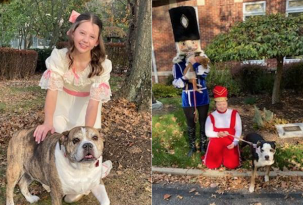 Mutt-cracker: A Benefit Performance for the Ohio County Animal Shelter